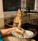 IMG_0949.jpeg