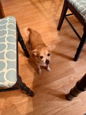 IMG_1062.jpeg