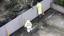 overhead view  of  fence and brush at creekline.jpg