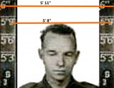 RoyWebb1_HeightComparison1.jpg