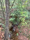 IMG_1469.jpeg
