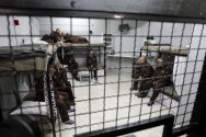 prisoners.jpg