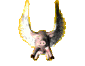 1pigflygif.gif