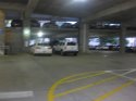 IMG_6495.jpg