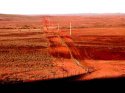 dingo_fence_copy.jpg