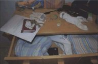 IMG_0299.jpeg