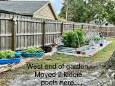 IMG_1981.jpeg