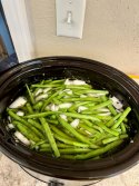 IMG_2108.jpeg