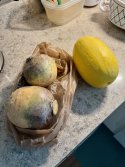 IMG_2110.jpeg