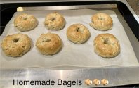 IMG_2184.jpeg