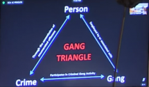 1701275960769.png