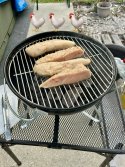 IMG_2238.jpeg
