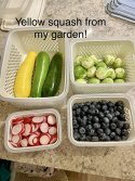 IMG_2286.jpeg