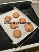 IMG_2287.jpeg