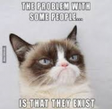 grumpycat.png