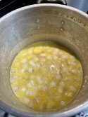 IMG_2386.jpeg