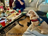IMG_2401.jpeg