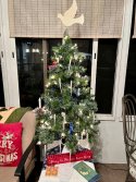 IMG_2404.jpeg