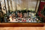IMG_2403.jpeg