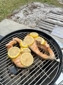 IMG_2488.jpeg
