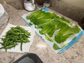 IMG_2542.jpeg