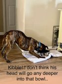 IMG_2574.jpeg