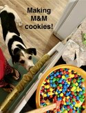 IMG_2699.jpeg