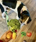 IMG_2702.jpeg