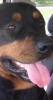1705803192509.png