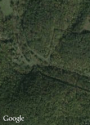 armmonett branch google image.png