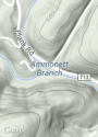 armmonett branch Hannah Graham.png