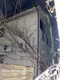 IMG_2781.jpeg