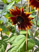 IMG_3250.jpeg