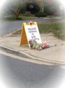 hannah sign.jpg
