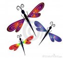 Dragon flies.JPG