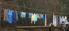 IMG_0256.jpeg