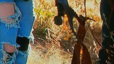 1709573192670.png