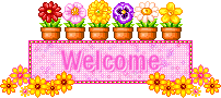 welcomeImage.gif
