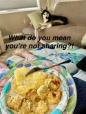 IMG_3529.jpeg