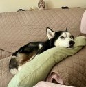 IMG_3532.jpeg