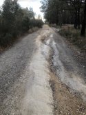 IMG_7724.jpeg