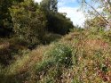 Resize creek.jpg