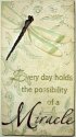 dragonfly everyday holds the possibility of a miracle.JPG