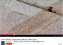 liknes blood sidewalk 1.jpg