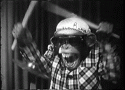 tumblr_m9ufnoU4aR1rztiauo1_400.gif
