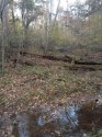 hannah-graham-location-of-remains.jpg