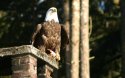 IMG_9147 - Version 3.jpg