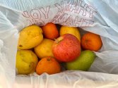 IMG_4299.jpeg