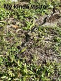 IMG_4297.jpeg