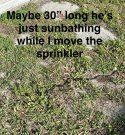 IMG_4296.jpeg